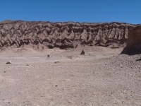 Rando cheval dans le désert d'Atacama