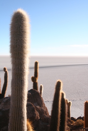 Depuis l'île Inca Huasi