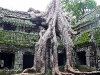 Angkor