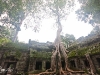 Angkor