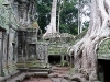 Angkor