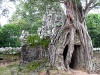 Angkor