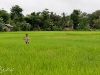 Laos