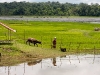 Laos