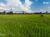 Laos