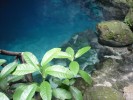 /mexique/images/cenotes/P1000272.TN__.JPG