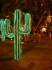 /mexique/images/merida/P1000180.TN__.JPG