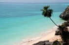 /mexique/images/tulum/IMG_9879.TN__.JPG