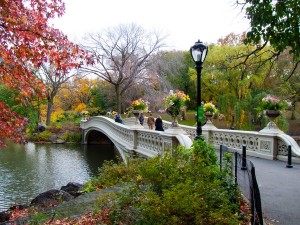 Central Park