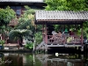 portraits-20100910-231