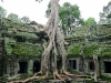 Angkor